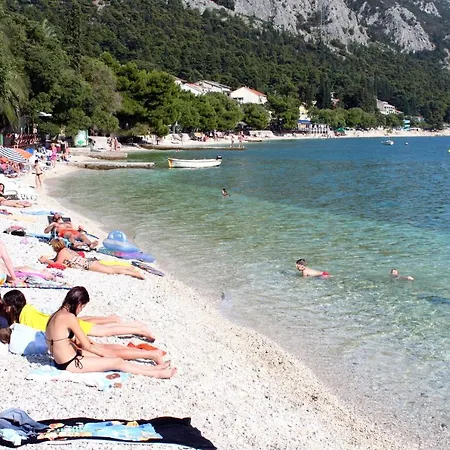 Studio Gradac 5198c Gradac (Split-Dalmatia)